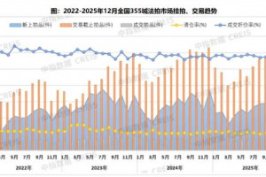 2025年法拍市场量价双降,区域分化加剧