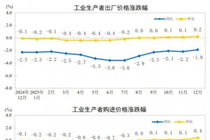 2025年全年PPI下降2.6%,CPI与上年持平