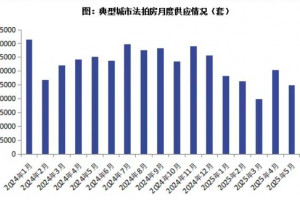 2025年5月法拍房供应规模回落，成交量大幅补涨，成交率回升