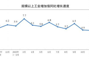2025年11月制造业增加值增长4.6%