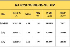 总价523亿元，上海诞生全国“地王之王”